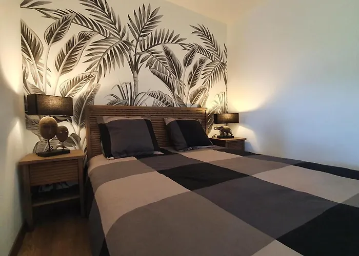 Appartamento La Loge Du Château ! Climatisé *